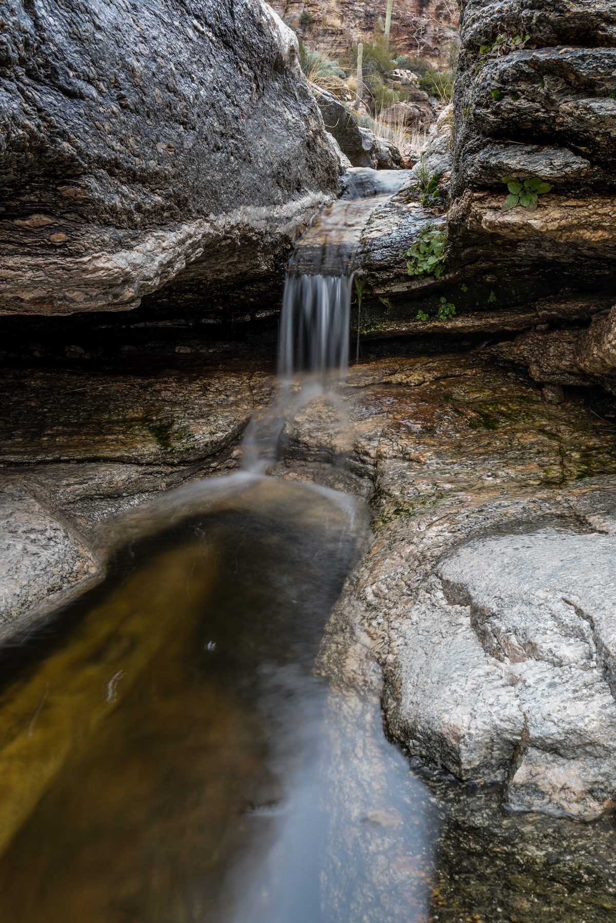 2016 February La Milagrosa Canyon