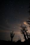 2016 February Saguaro Stars Clouds from Sabino Canyon