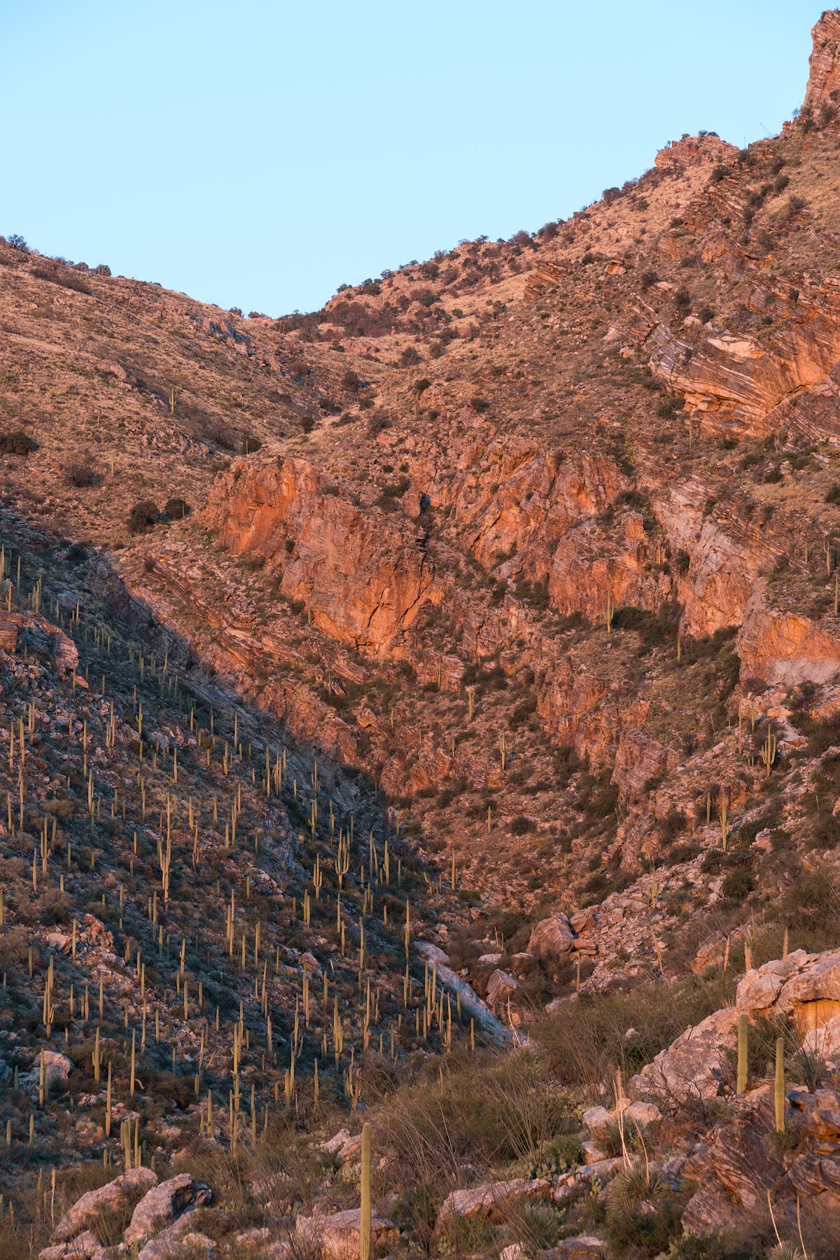 2016 February Sunset light on Pontatoc Canyon