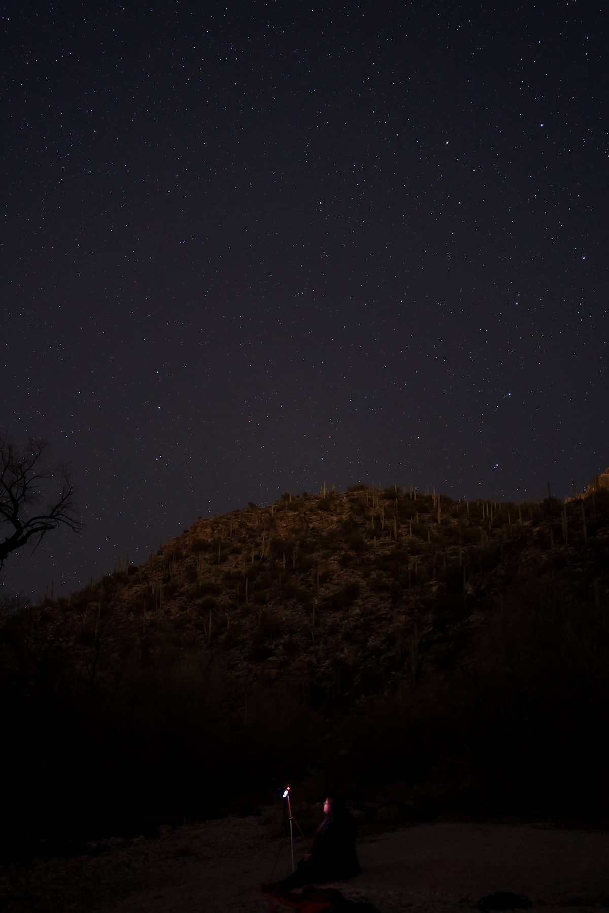 2016 February Taking Photos under the Stars