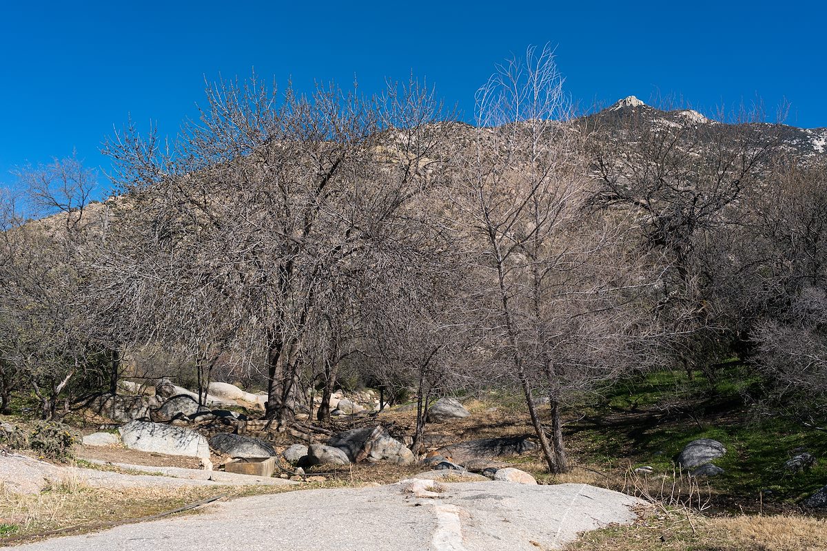 2016 February Unnamed Tank and Spring West of Samaniego Peak 02