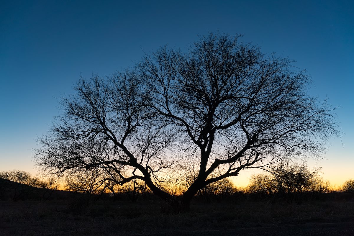 2016 January End of the Day in Catalina State Park
