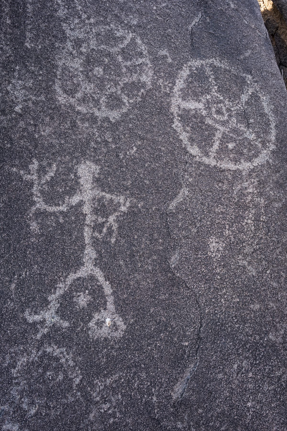 2016 January Female Anthropomorph and Flowers