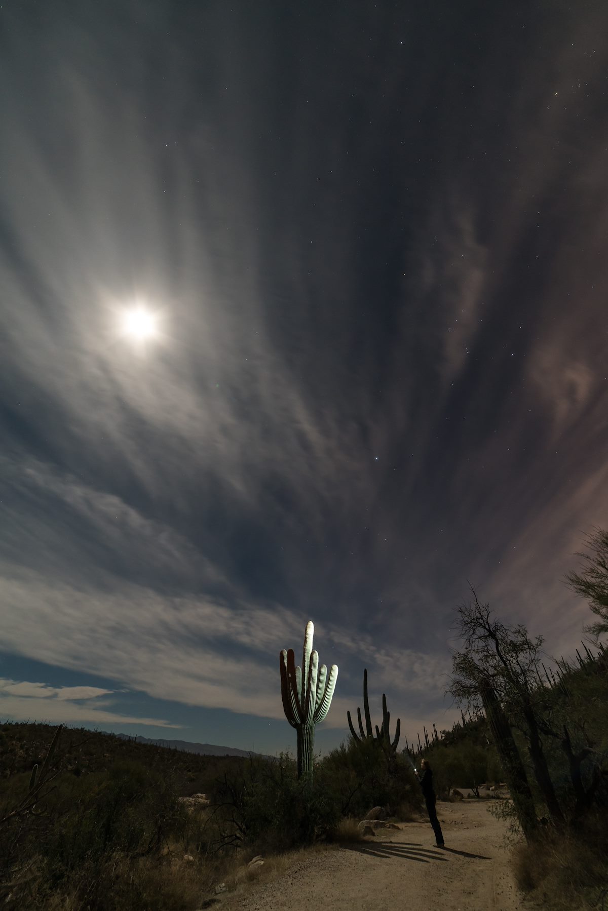 2016 January Moon Saguaro Alison