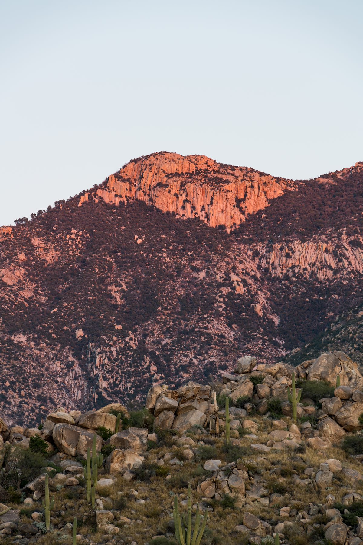 2016 January Mule Ears on Samaniego Ridge in the Sunset