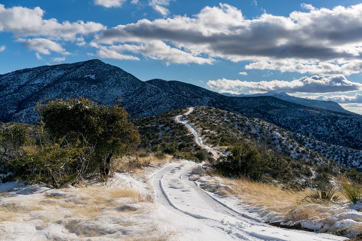 2016 January Oracle Ridge Trail at the junction with the Cody Trail