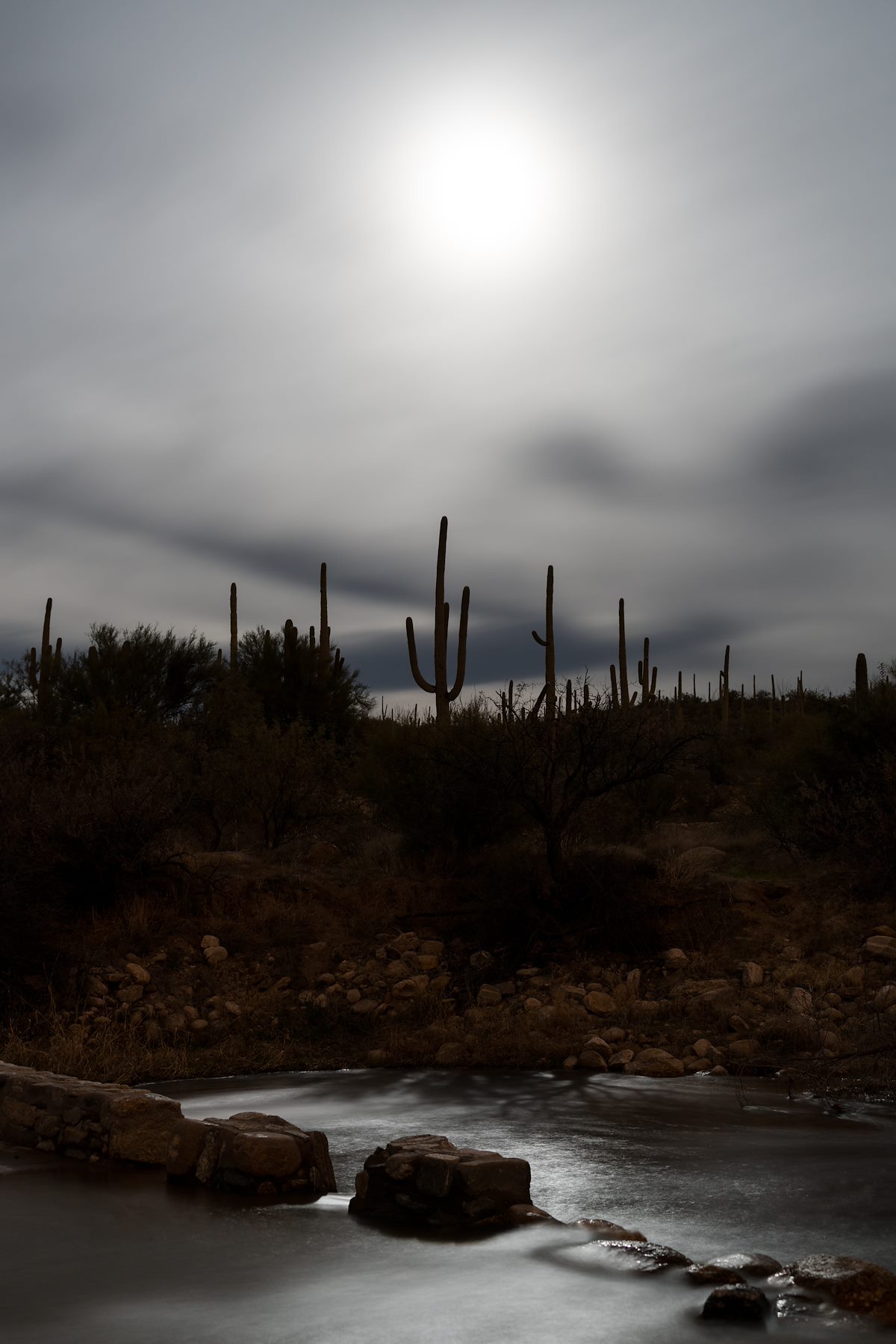 2016 January Saguaros under the moon at a Sabino Canyon Crossing