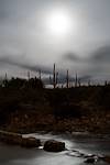 2016 January Saguaros under the moon at a Sabino Canyon Crossing