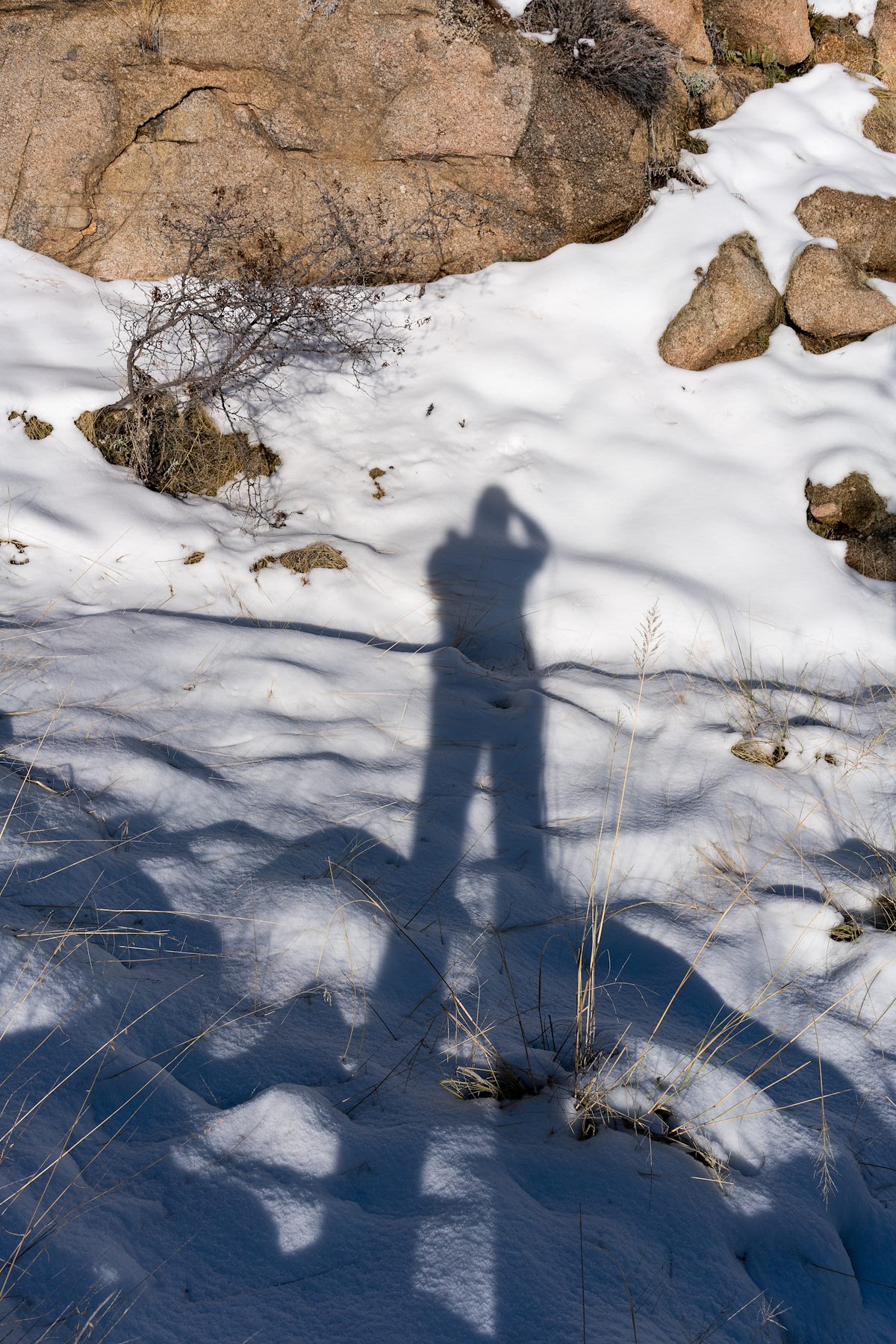 2016 January Shadow on the Snow