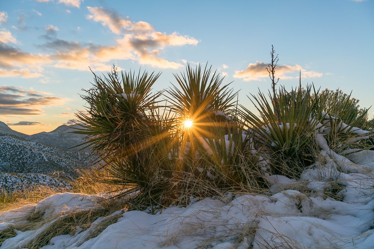 2016 January Sunset in the Snow near the Oracle Ridge Trail 02