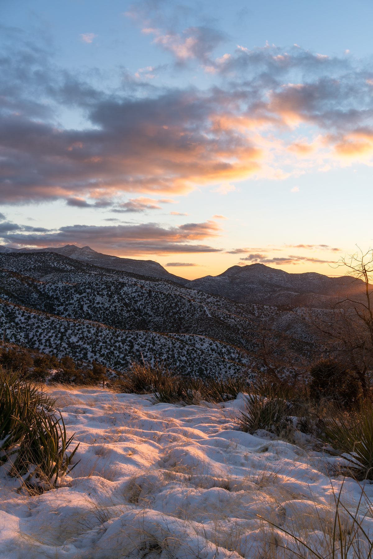 2016 January Sunset in the Snow near the Oracle Ridge Trail 03