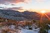 2016 January Sunset in the Snow near the Oracle Ridge Trail 04
