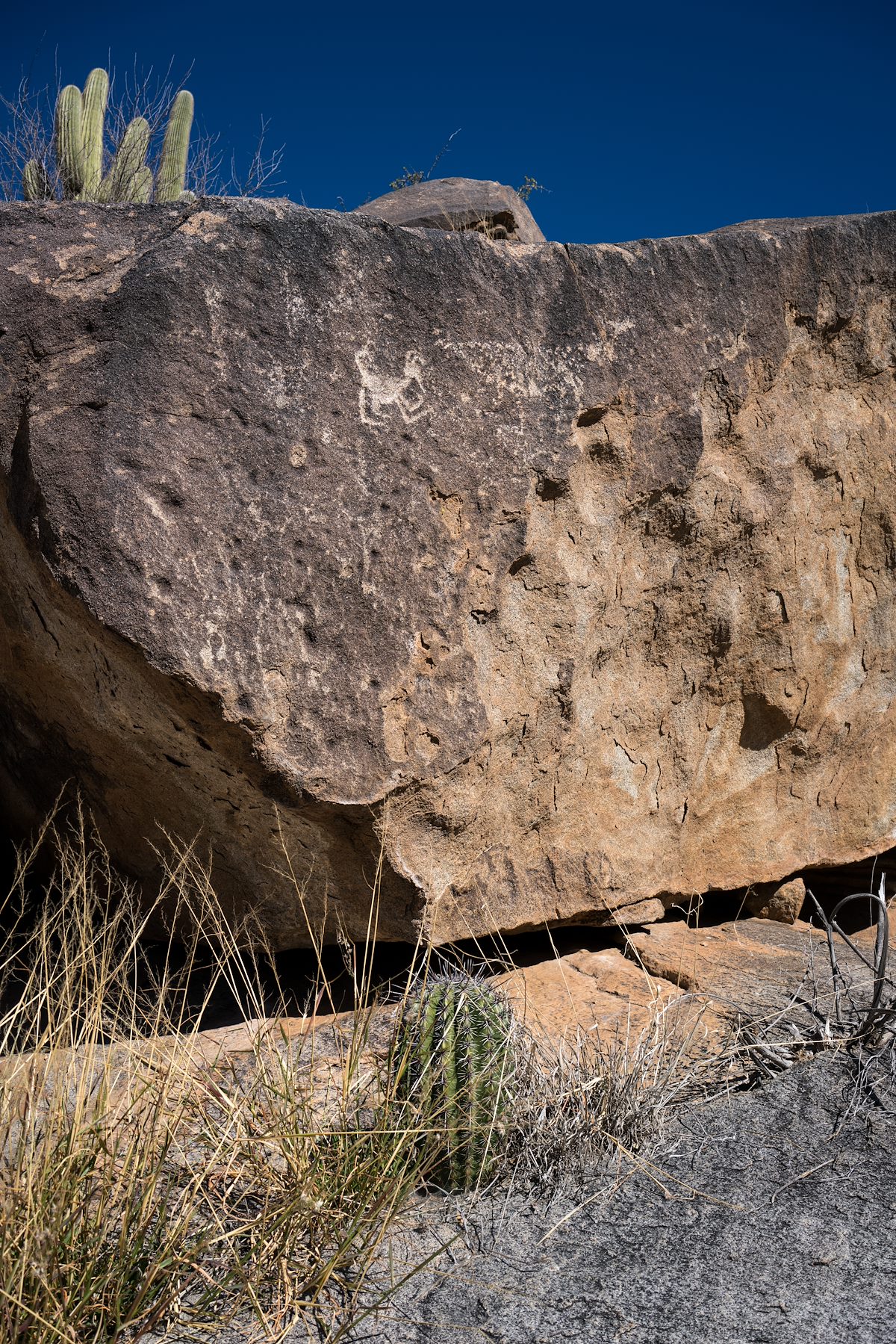 2016 January Sutherland Wash Rock Art District 01
