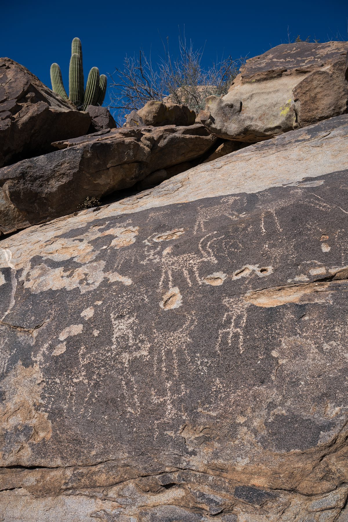 2016 January Sutherland Wash Rock Art District 02