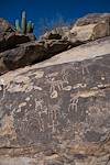 2016 January Sutherland Wash Rock Art District 02