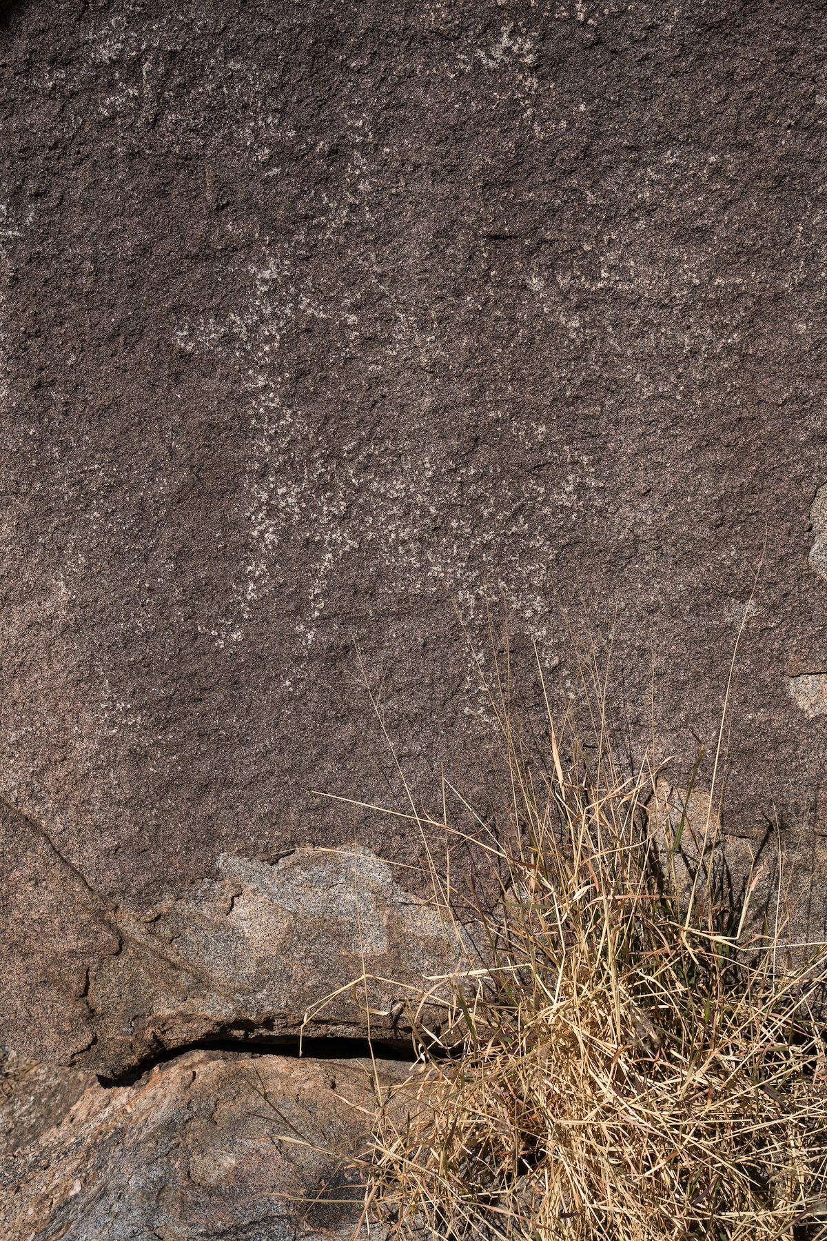 2016 January Sutherland Wash Rock Art District 03