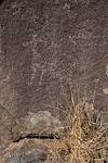 2016 January Sutherland Wash Rock Art District 03