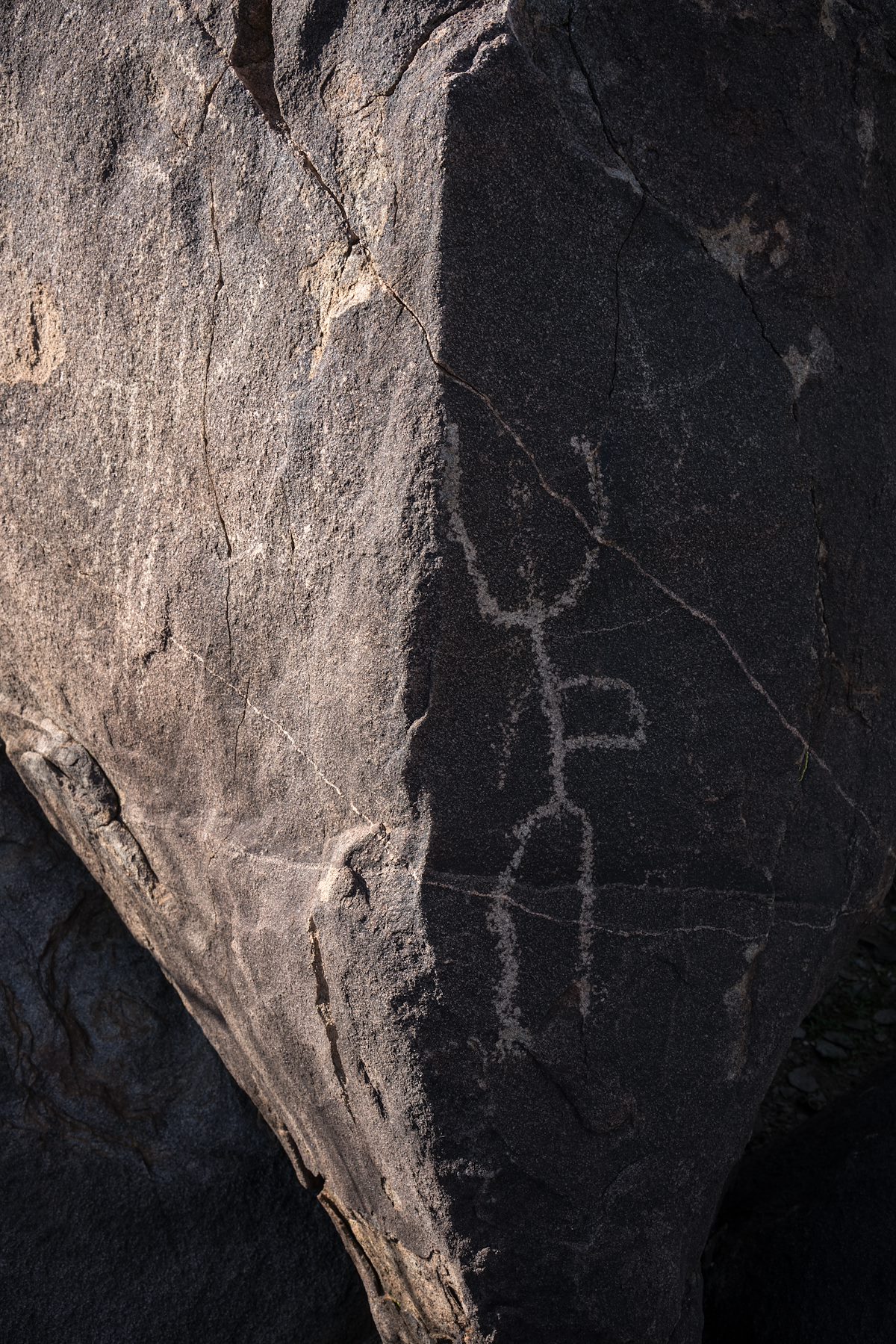 2016 January Sutherland Wash Rock Art District 08