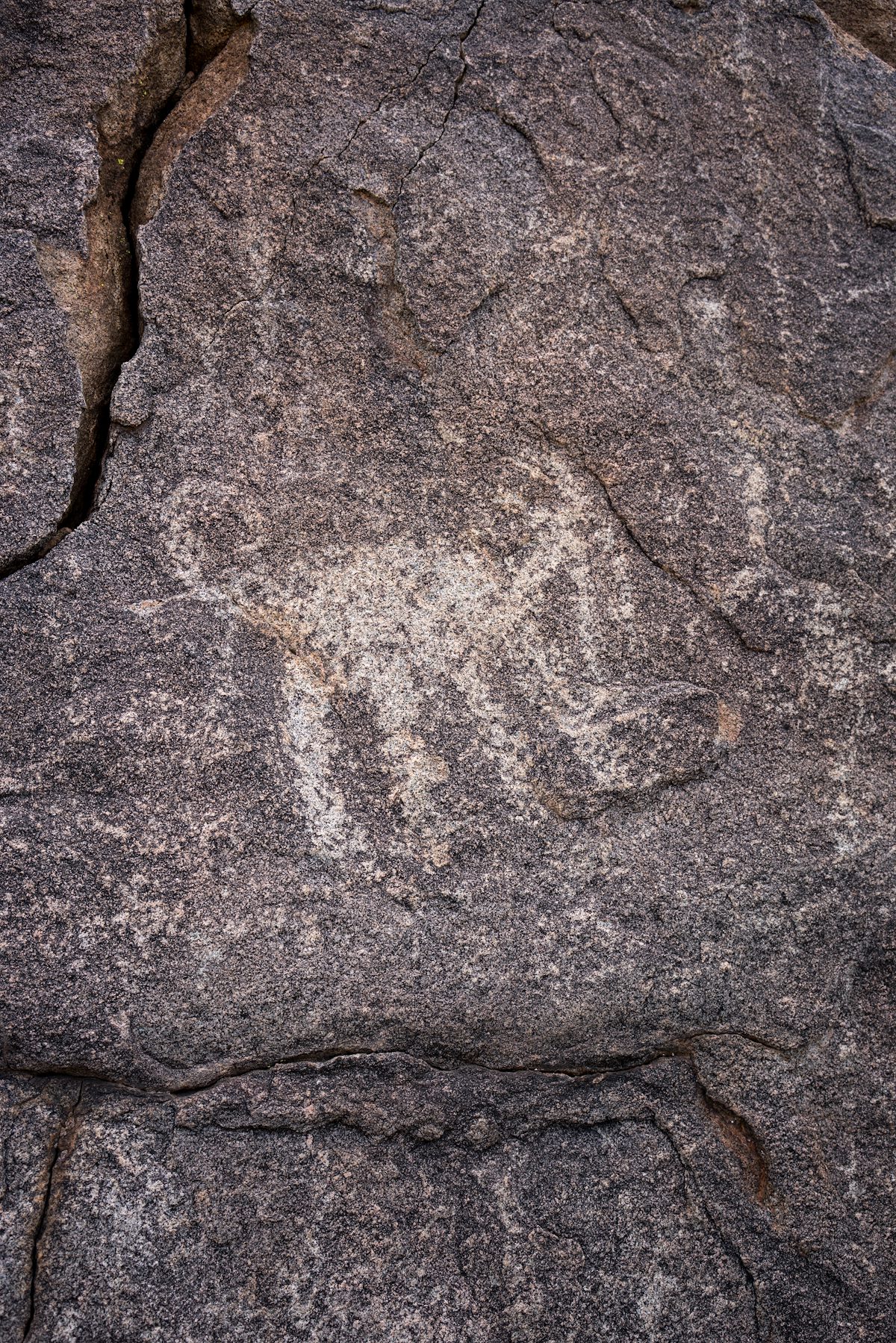 2016 January Sutherland Wash Rock Art District 12