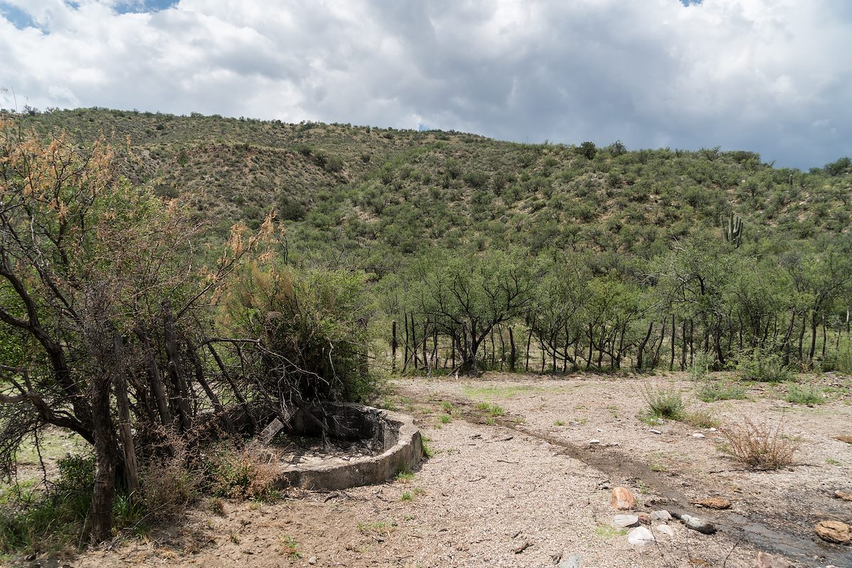 2016 July Corral in Alder Canyon