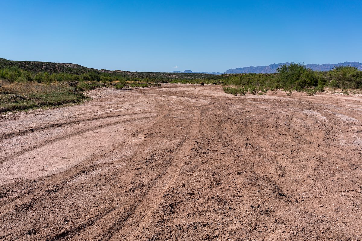 2016 July Crossing the San Pedro to Redington