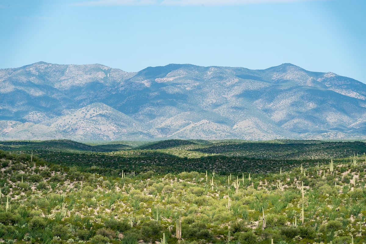 2016 July Hill and the Santa Catalina Mountains from Black Hills Mine Road