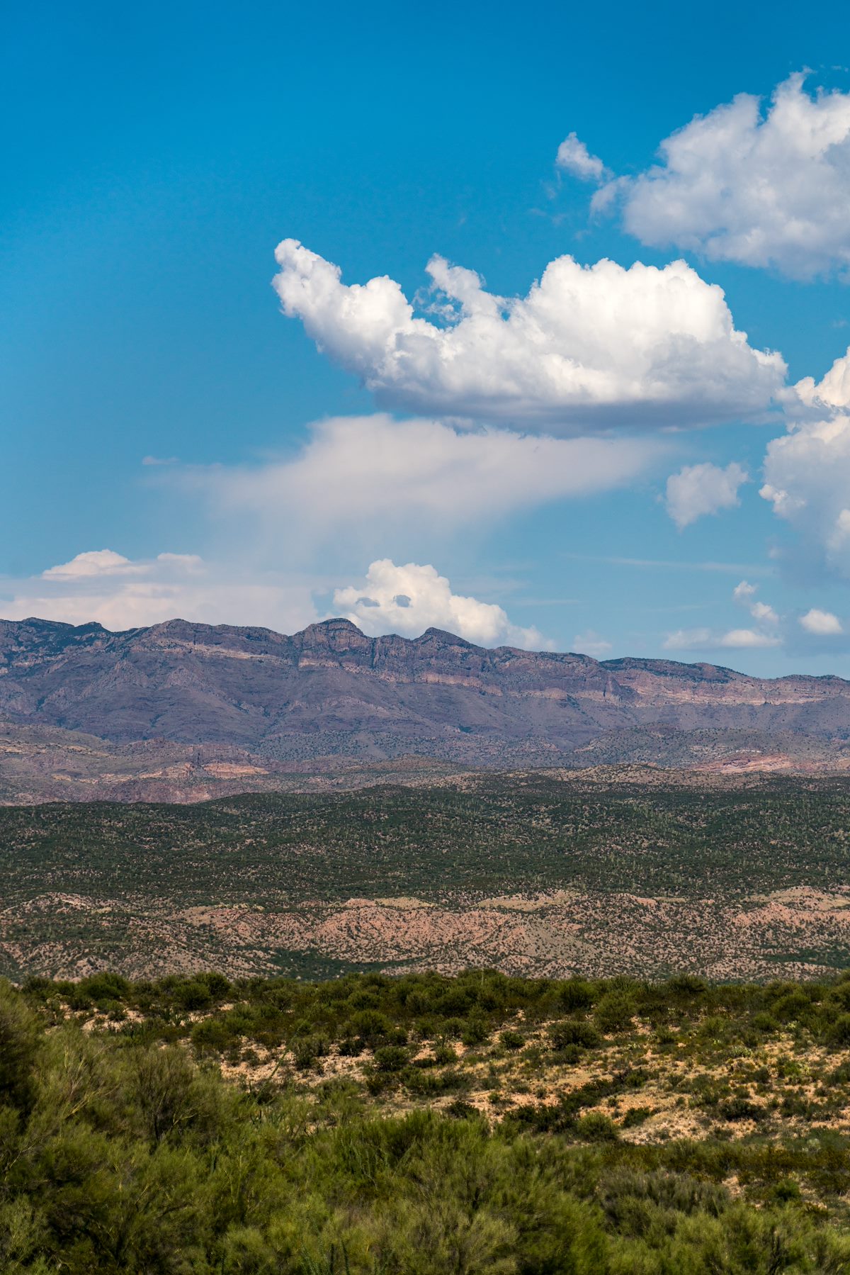 2016 July Looking across the San Pedro from Redington Road