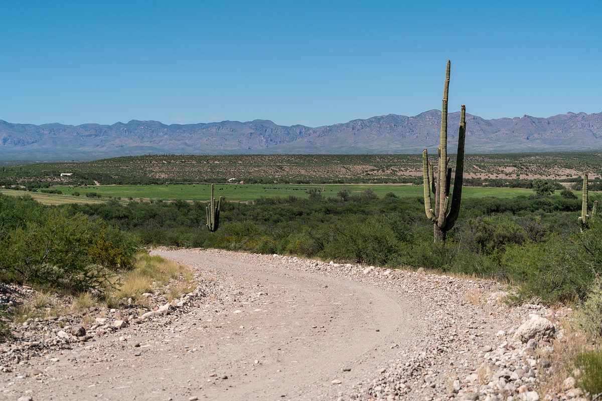 2016 July Redington Road near the San Pedro River