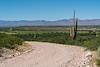2016 July Redington Road near the San Pedro River