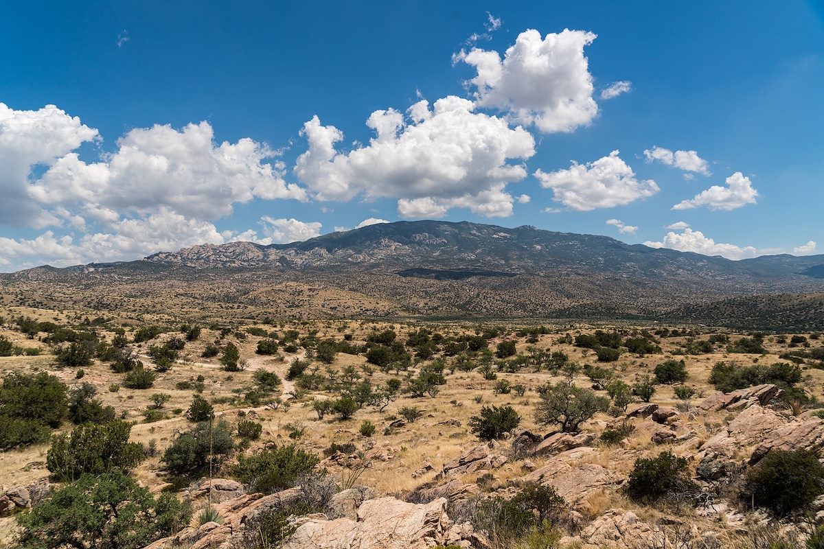 2016 July Rincon Mountains from near the Italian Spring Trailhead off Redington Road