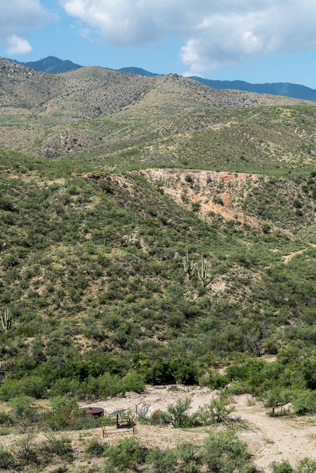 2016 July Ventana Windmill and Mount Bigelow