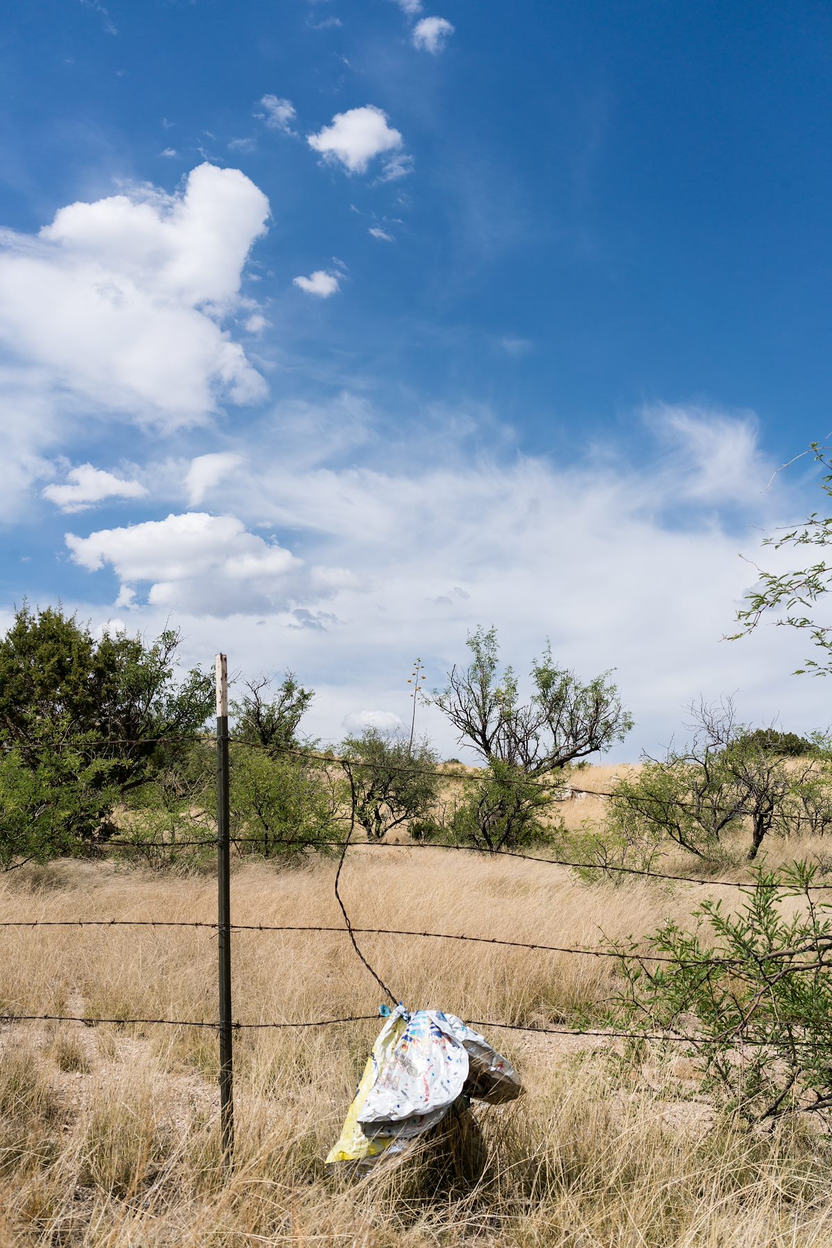 2016 June Balloon Caught on a Fence near White Tank off Redington Road
