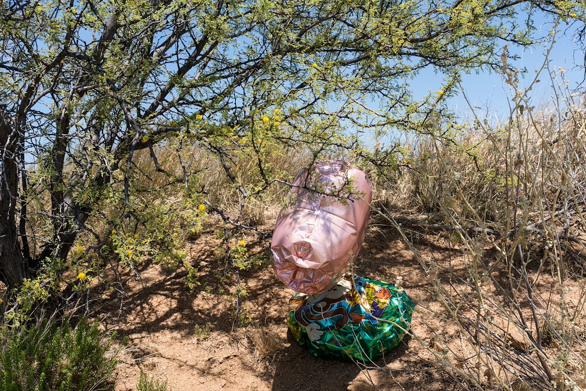 2016 June Balloons near the Arizona Trail Outside of Oracle