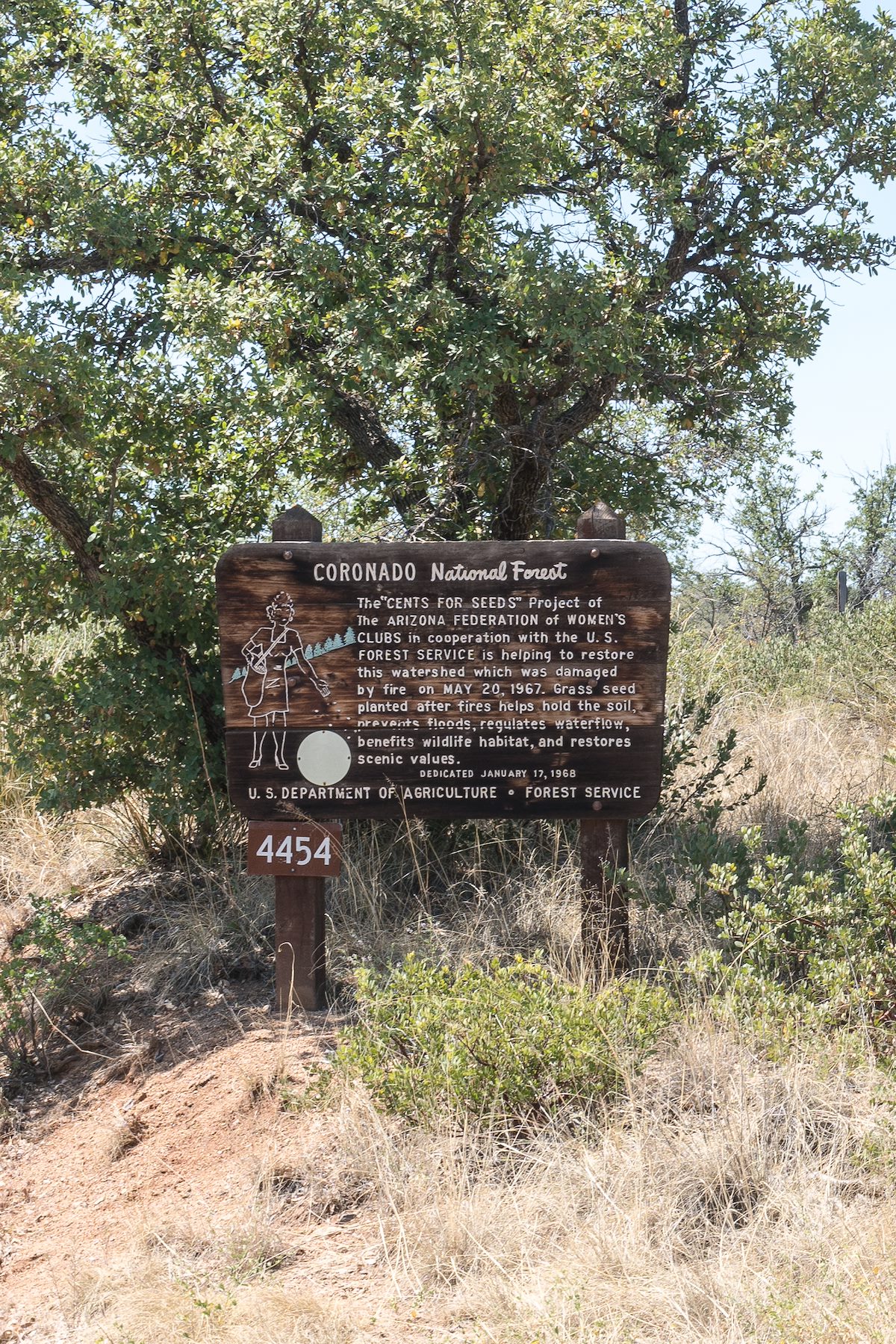2016 June Cents for Seeds Sign near the Oracle Ridge Trailhead