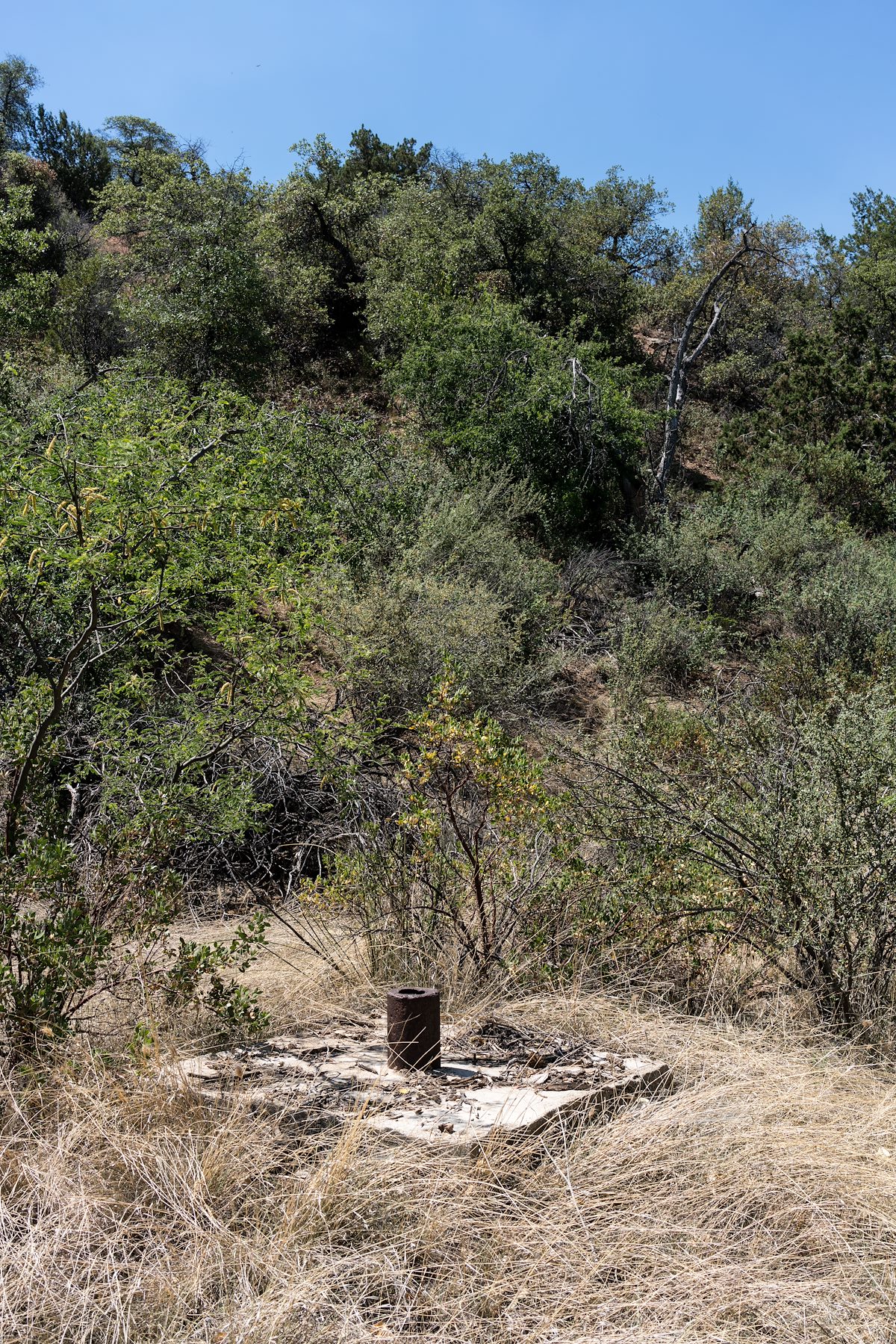 2016 June Ray Spring