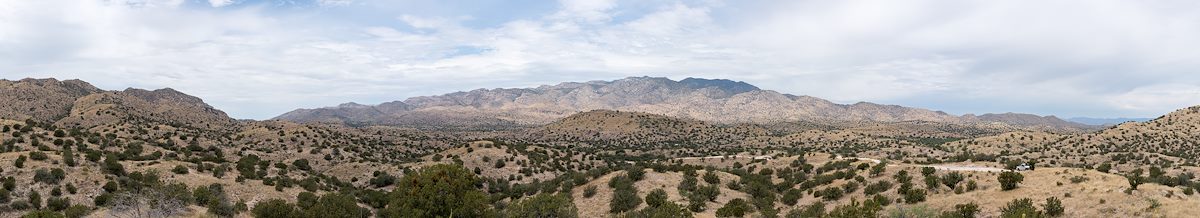 2016 June The Santa Catalina Mountains from FR36 North of Redington Road