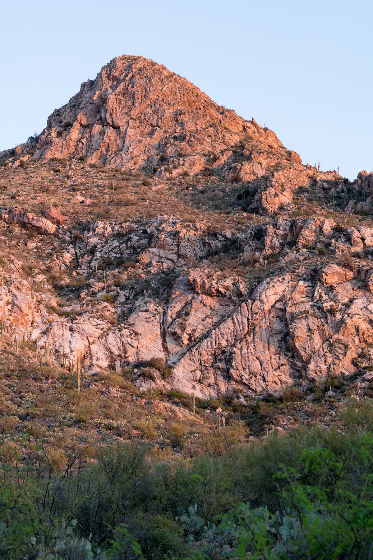 2016 March A Small Rocky Point on the ridges below Pusch Peak