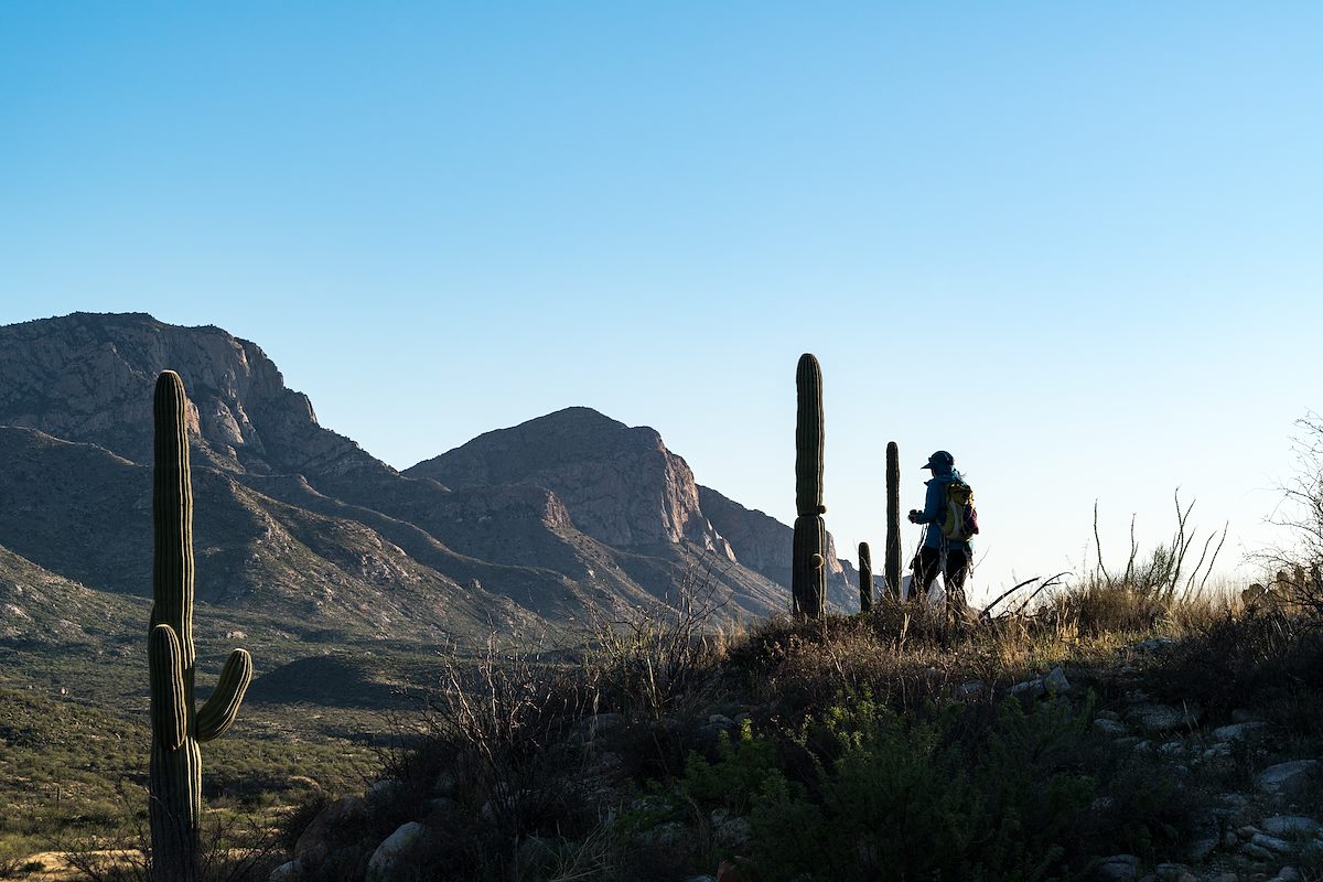2016 March Alison in Catalina State Park