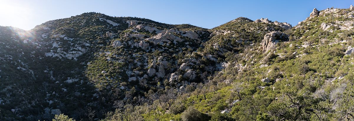 2016 March Hillside Above Molino Canyon