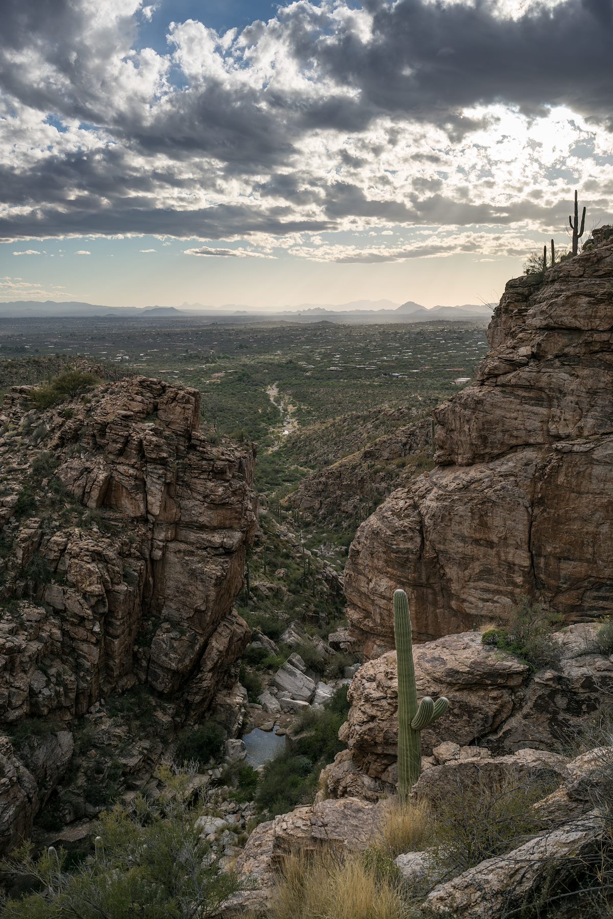 2016 March Looking Down La Milagrosa Trail