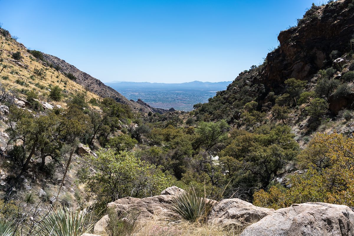 2016 March Looking Down Ventana Canyon