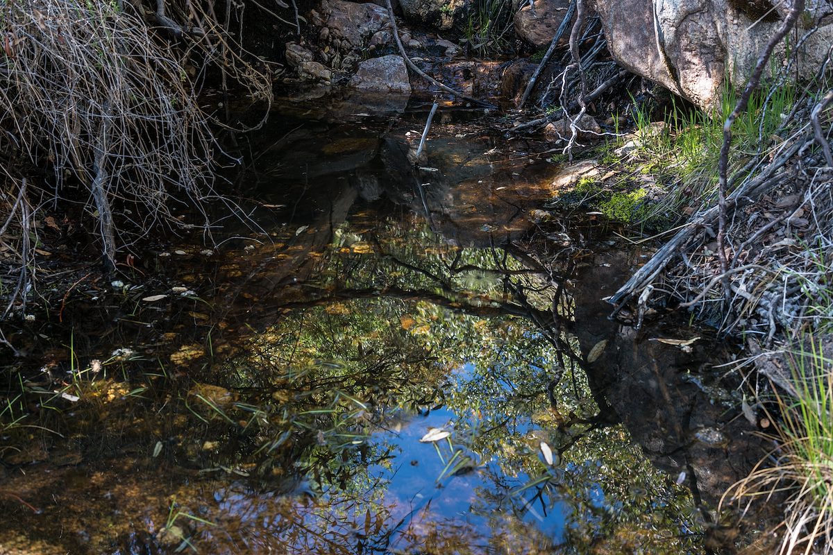 2016 March Pool near the Ventana Trail