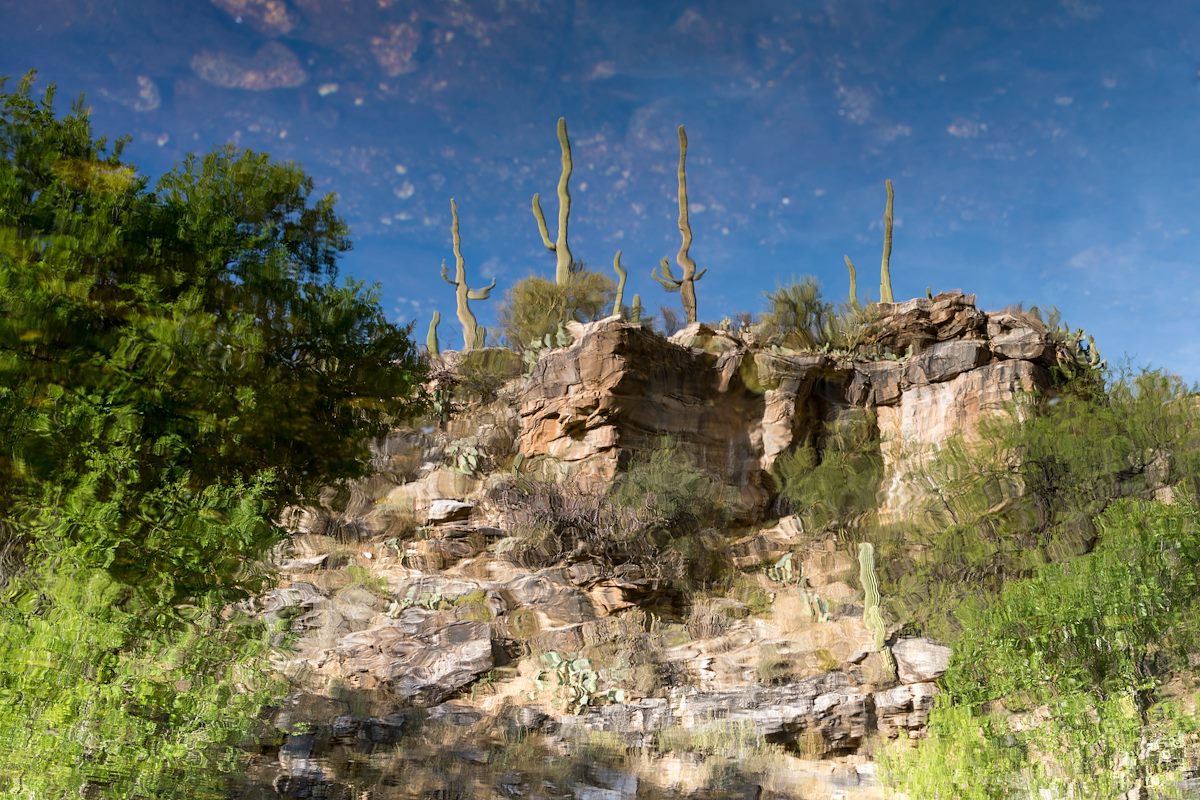 2016 March Sabino Canyon Reflection