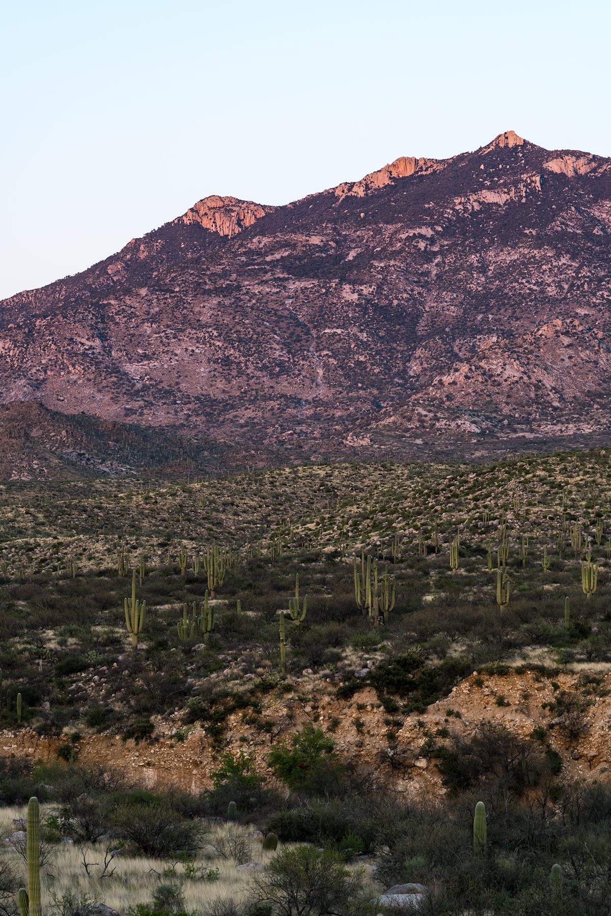 2016 March Samaniego Ridge