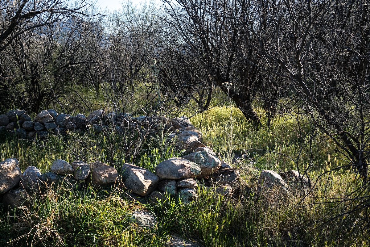 2016 March Structure in Catalina State Park