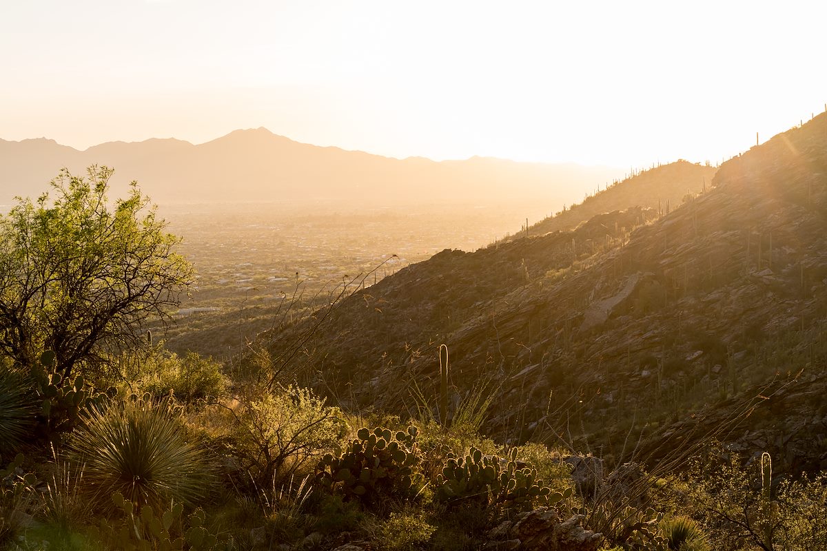 2016 March Sun in Pontatoc Canyon