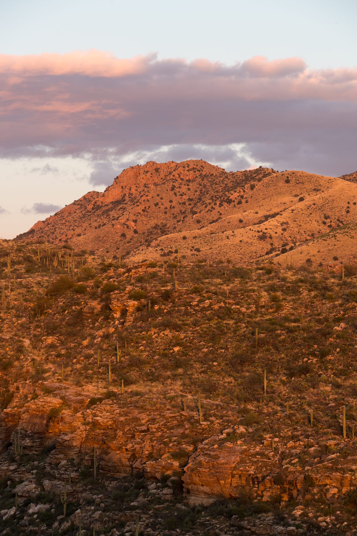 2016 March Sunset from above the La Milagrosa Trail
