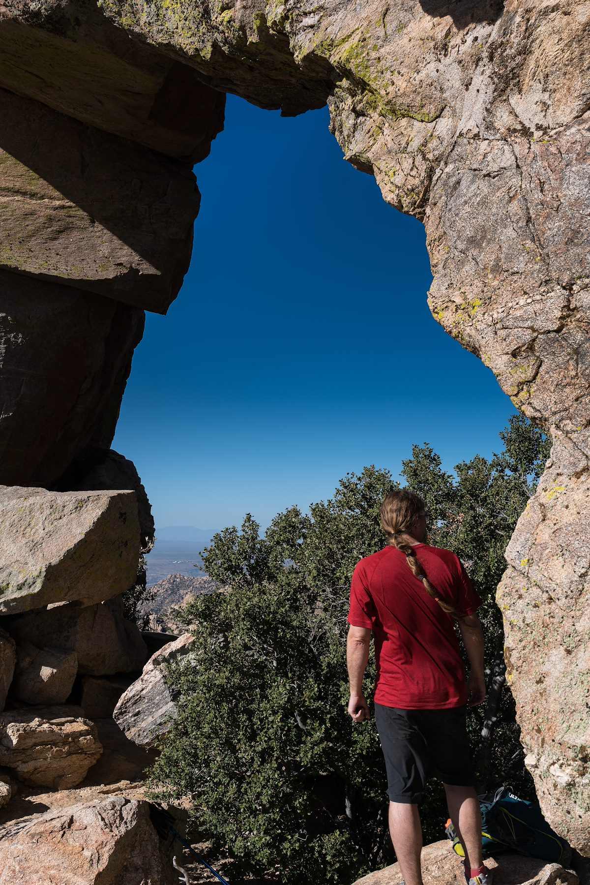2016 March The Window Looking towards the Biosphere
