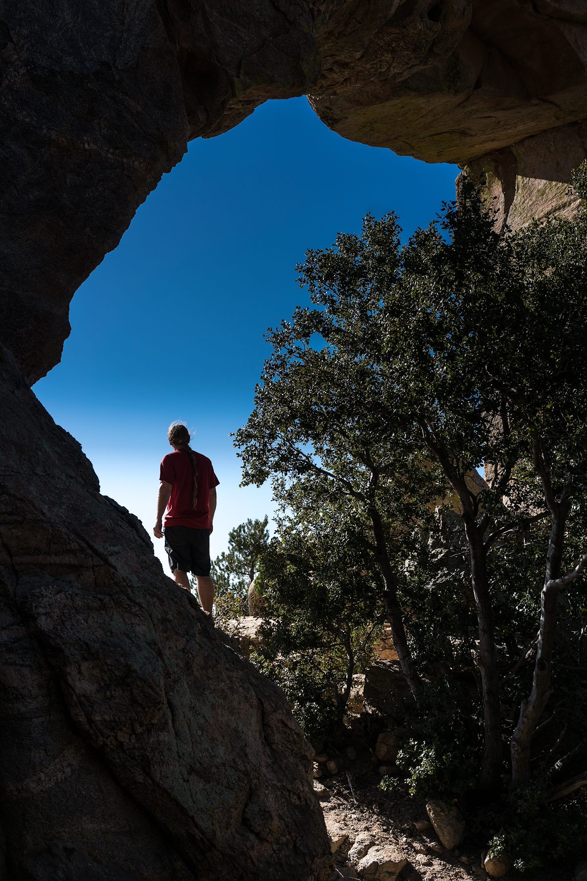 2016 March The Window