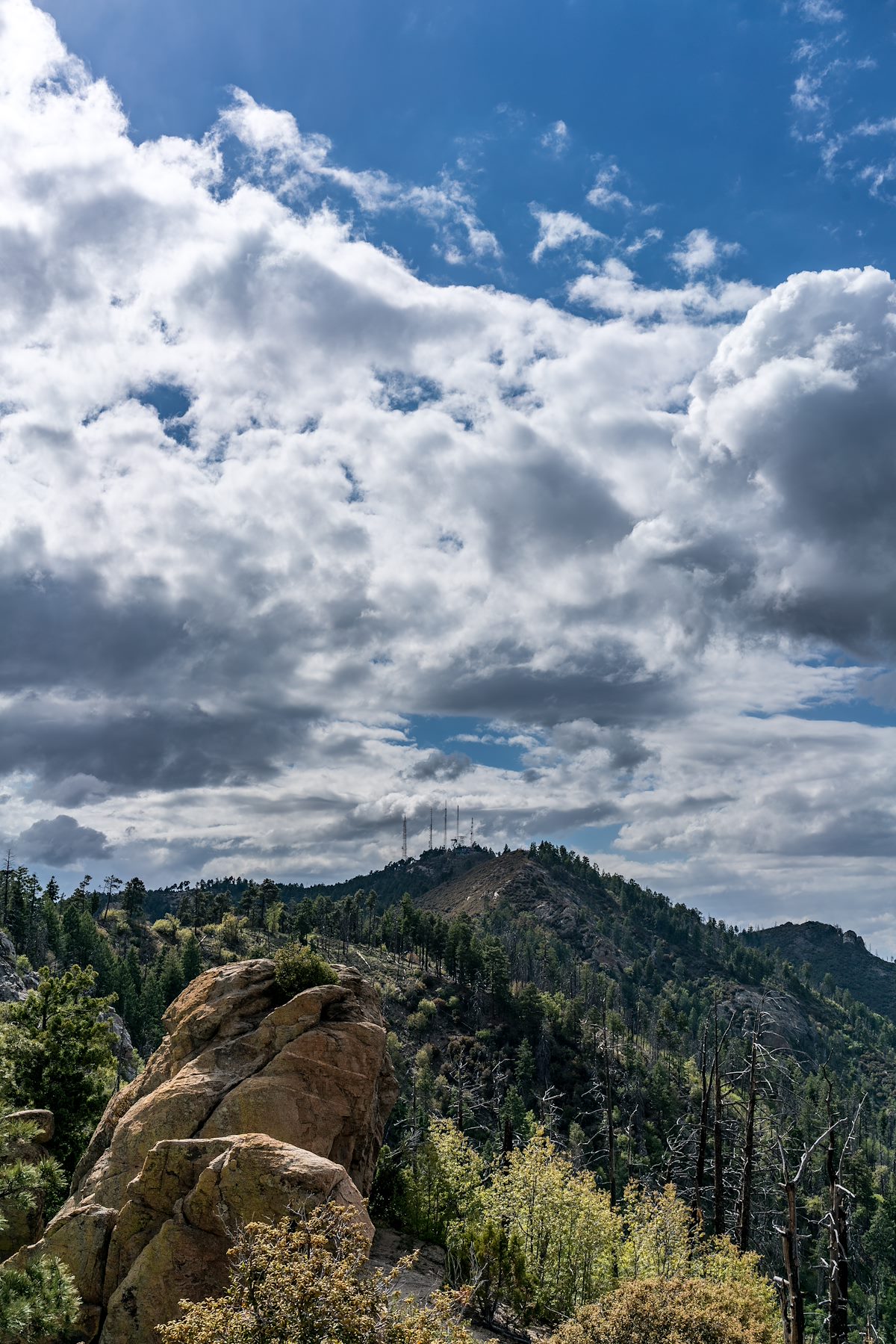 2016 May Kellogg Mountain and Mount Bigelow from Leoplod Point